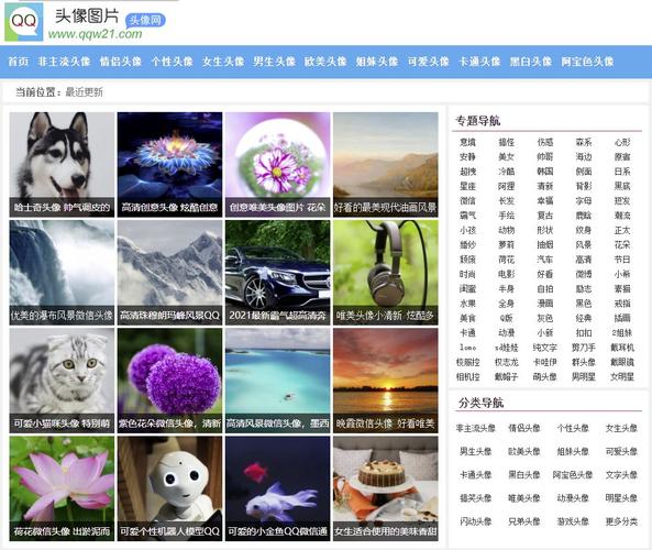 优化头像的网站是什么_优化头像的网站是什么意思。 优化头像的网站是什么_优化头像的网站是什么意思。 百度SEO