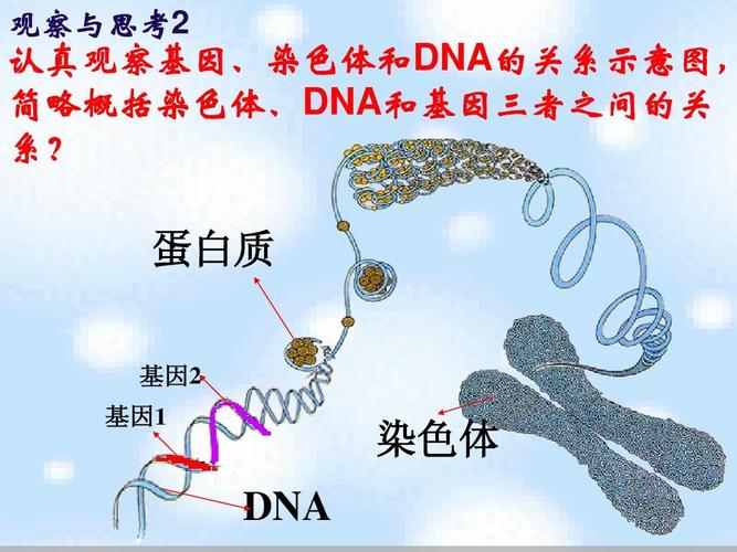 无忧乐于seo_穷汉基因与富人基因 搜狗SEO 无忧乐于seo_穷汉基因与富人基因 无忧乐于seo_穷汉基因与富人基因 搜狗SEO