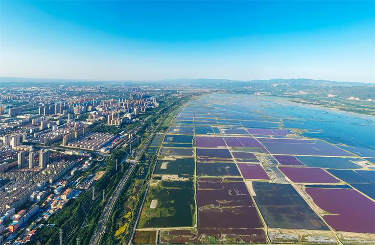 河东优化seo_天津河东立异成长潮正涌 网站建设公司 河东优化seo_天津河东立异成长潮正涌 河东优化seo_天津河东立异成长潮正涌 网站建设公司