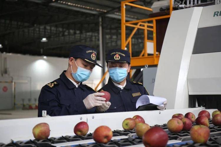 张掖外贸seo_张掖甘州区去年外贸进出口总额382亿元 必应SEO 张掖外贸seo_张掖甘州区去年外贸进出口总额382亿元 张掖外贸seo_张掖甘州区去年外贸进出口总额382亿元 必应SEO