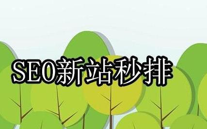 新站seo要多久_SEO新站排名要多久时间怎么样做 新站seo要多久_SEO新站排名要多久时间怎么样做 SEO关键词