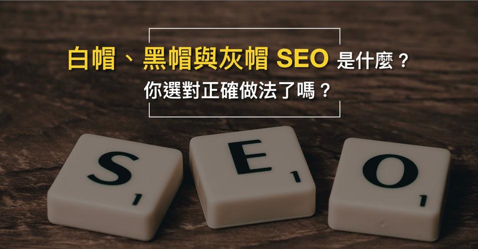 黑色seo是什么_黑搜是什么怎么完美应用 黑色seo是什么_黑搜是什么怎么完美应用 网站建设公司