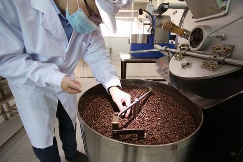 埃塞咖啡豆seo_这家藏匿于MLIFE里的低调咖啡馆墨笛植造所 埃塞咖啡豆seo_这家藏匿于MLIFE里的低调咖啡馆墨笛植造所 必应SEO