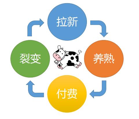 泾县seo网站扶植公司_聚焦垂直领域用牧场理论做到几切切营业额 必应SEO 泾县seo网站扶植公司_聚焦垂直领域用牧场理论做到几切切营业额 泾县seo网站扶植公司_聚焦垂直领域用牧场理论做到几切切营业额 必应SEO