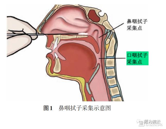 朔州seo优化费用是若干_50元降至30元 山西降低新型冠状病毒核酸检测价格和费用 神马SEO 朔州seo优化费用是若干_50元降至30元 山西降低新型冠状病毒核酸检测价格和费用 朔州seo优化费用是若干_50元降至30元 山西降低新型冠状病毒核酸检测价格和费用 神马SEO