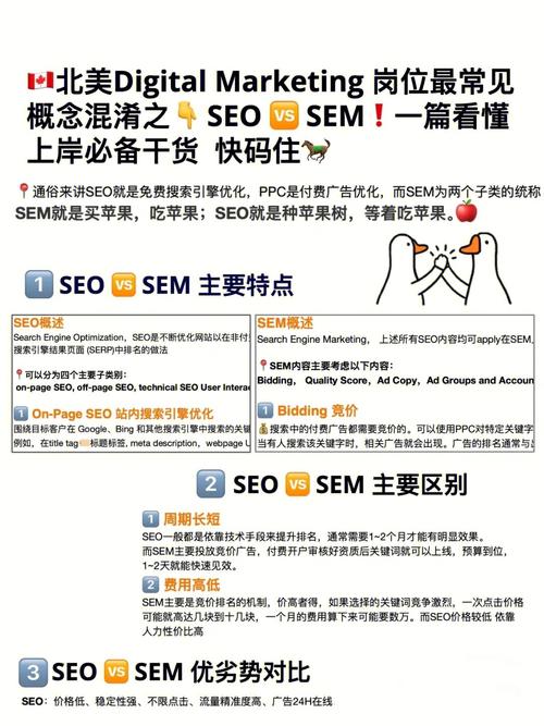 自力站seo和ppc哪个好_做自力站 做shopify 选择SEO 照样PPC 自力站seo和ppc哪个好_做自力站 做shopify 选择SEO 照样PPC 网站建设公司