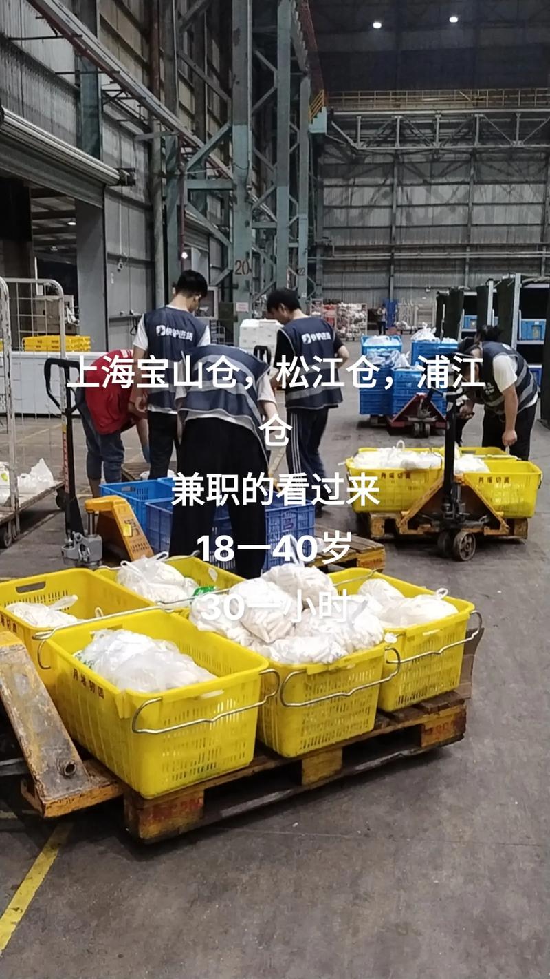 年夜学城专业的seo优化德律风_月薪最高2万元还有兼职岗位松江这些企业正在招人 年夜学城专业的seo优化德律风_月薪最高2万元还有兼职岗位松江这些企业正在招人 百度SEO