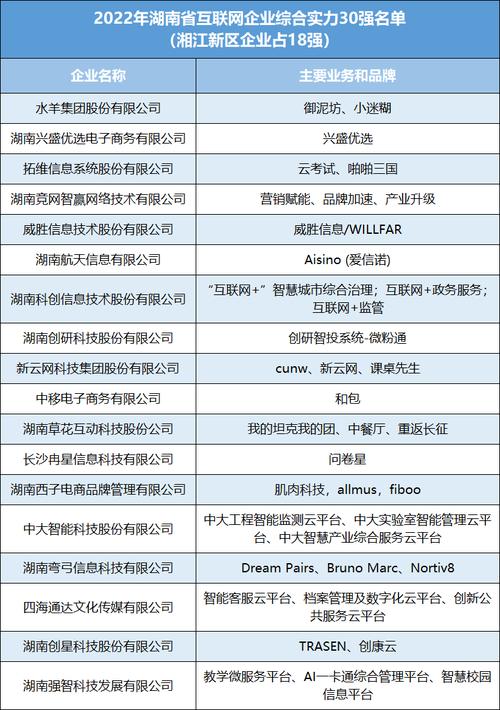 网络科技有限公司排名_网络科技技术公司。 网络科技有限公司排名_网络科技技术公司。 网站建设公司