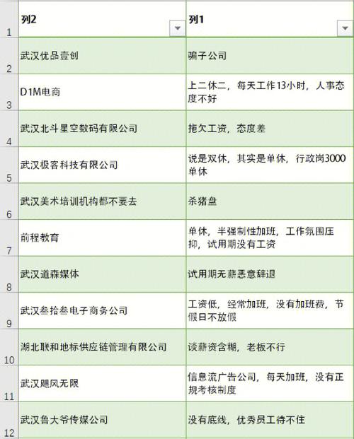 武汉直销软件开发公司_武汉软件开发公司都分布哪里。 武汉直销软件开发公司_武汉软件开发公司都分布哪里。 网站建设公司