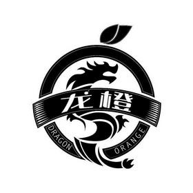 龙橙广州分公司_广东七橙信息科技有限公司。 龙橙广州分公司_广东七橙信息科技有限公司。 网站建设公司