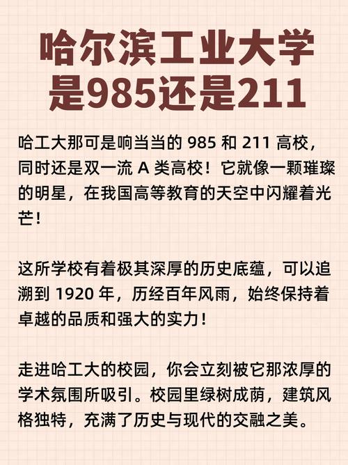 10246,一个承载着百年教育梦想的代码(10246学校代码) SEO关键词 10246,一个承载着百年教育梦想的代码(10246学校代码) 10246,一个承载着百年教育梦想的代码(10246学校代码) SEO关键词