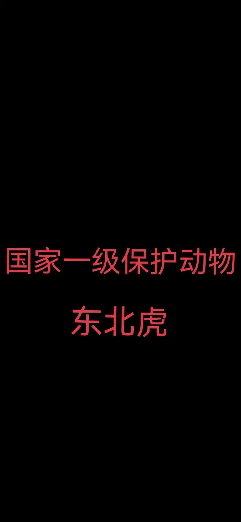 东北虎,自然界的王者,生态保护的使命 百度SEO 东北虎,自然界的王者,生态保护的使命 东北虎,自然界的王者,生态保护的使命 百度SEO