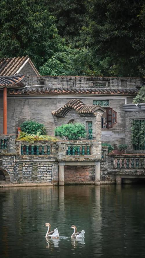 东莞水,探索水城魅力,品味人文风情 网站建设公司 东莞水,探索水城魅力,品味人文风情 东莞水,探索水城魅力,品味人文风情 网站建设公司