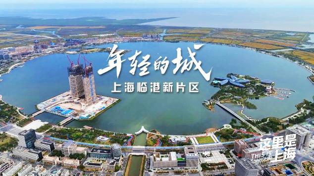 临港区,引领区域经济发展的新引擎 搜狗SEO 临港区,引领区域经济发展的新引擎 临港区,引领区域经济发展的新引擎 搜狗SEO