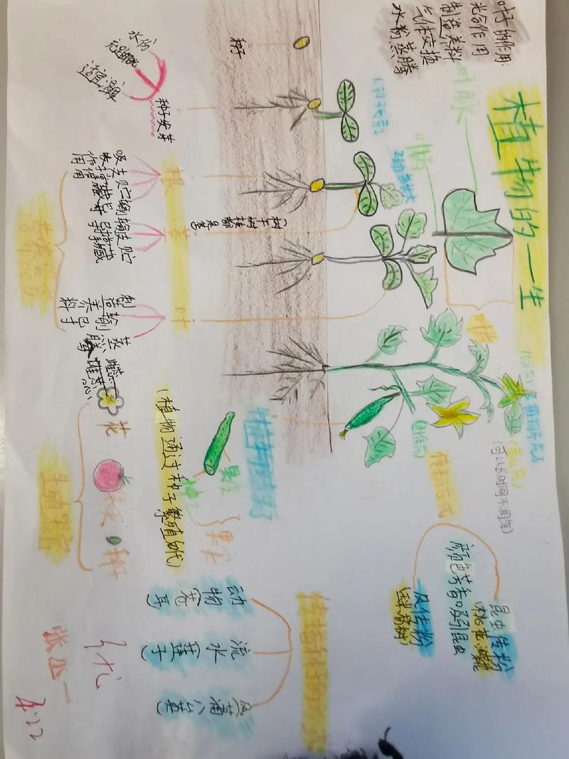 乐谱网站设计图,音乐传承的未来蓝图 乐谱网站设计图,音乐传承的未来蓝图 搜狗SEO