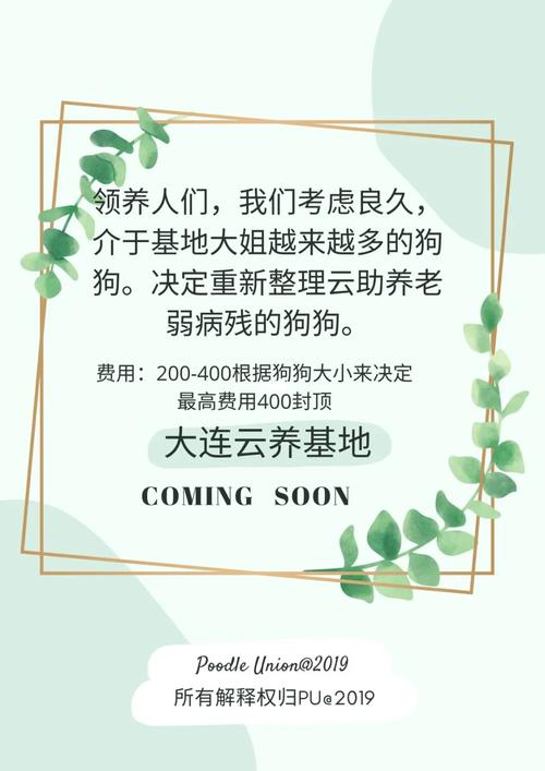 云领养,开启智能养宠新时代 必应SEO 云领养,开启智能养宠新时代 云领养,开启智能养宠新时代 必应SEO