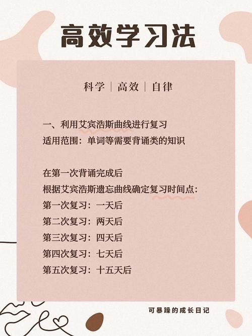 介绍哔站三倍速的神奇魅力,高效学习新途径 介绍哔站三倍速的神奇魅力,高效学习新途径 神马SEO