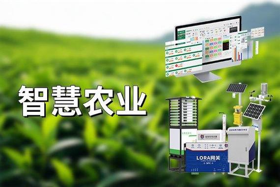介绍挣钱最快的农场,科技赋能下的农业新未来 必应SEO 介绍挣钱最快的农场,科技赋能下的农业新未来 介绍挣钱最快的农场,科技赋能下的农业新未来 必应SEO