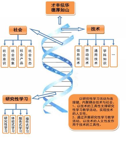 从状态到程序,技术发展的双螺旋 神马SEO 从状态到程序,技术发展的双螺旋 从状态到程序,技术发展的双螺旋 神马SEO