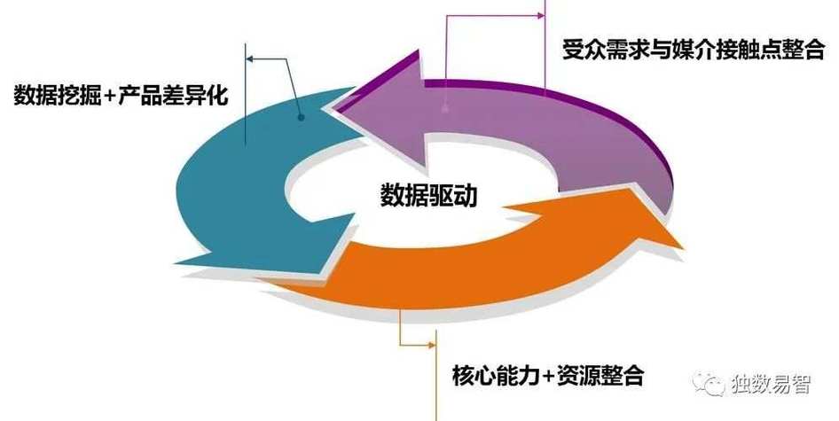 从网站到软件,数字化转型的关键一步 神马SEO 从网站到软件,数字化转型的关键一步 从网站到软件,数字化转型的关键一步 神马SEO