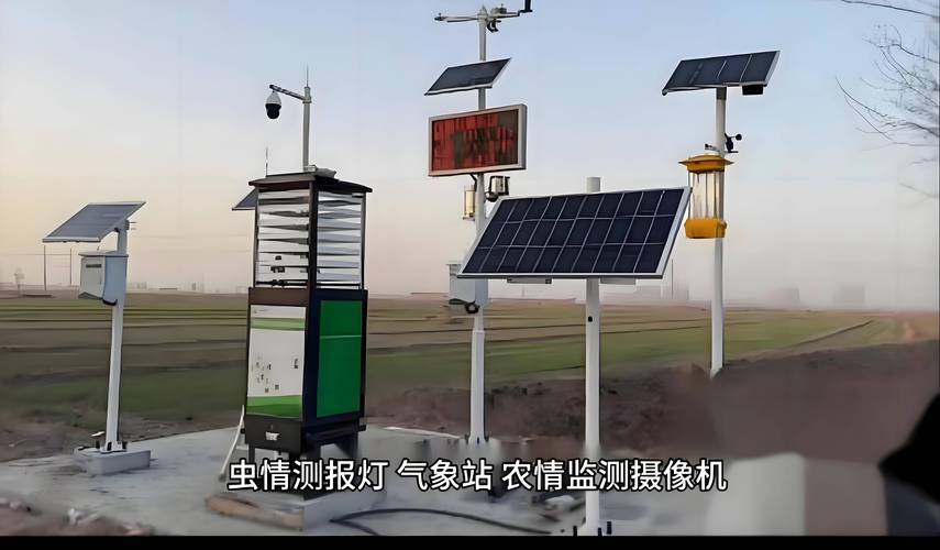 低频仪程序代码分析,介绍现代科技背后的奥秘 必应SEO 低频仪程序代码分析,介绍现代科技背后的奥秘 低频仪程序代码分析,介绍现代科技背后的奥秘 必应SEO