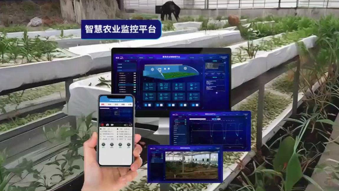 农业网站D,打造智慧农业新平台,助力乡村振兴 百度SEO 农业网站D,打造智慧农业新平台,助力乡村振兴 农业网站D,打造智慧农业新平台,助力乡村振兴 百度SEO