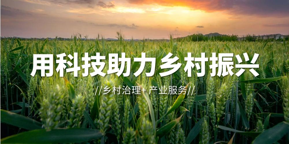 华宁县网站,打造智慧政务新名片，助力乡村振兴 华宁县网站,打造智慧政务新名片，助力乡村振兴 神马SEO