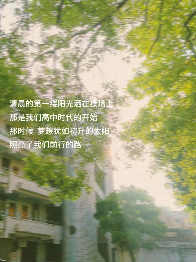 告白墙,虚拟世界的情感栖息地,见证青春记忆的流转 神马SEO 告白墙,虚拟世界的情感栖息地,见证青春记忆的流转 告白墙,虚拟世界的情感栖息地,见证青春记忆的流转 神马SEO
