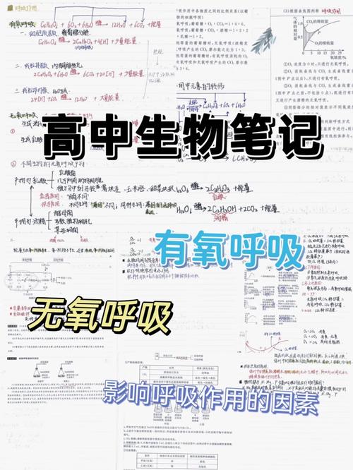 呼吸之韵,介绍环境湿度对呼吸健康的影响 必应SEO 呼吸之韵,介绍环境湿度对呼吸健康的影响 呼吸之韵,介绍环境湿度对呼吸健康的影响 必应SEO