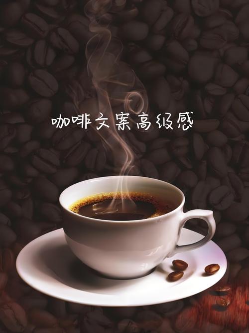 品味生活,尽在咖啡香_探寻咖啡店网站的独特魅力 神马SEO 品味生活,尽在咖啡香_探寻咖啡店网站的独特魅力 品味生活,尽在咖啡香_探寻咖啡店网站的独特魅力 神马SEO