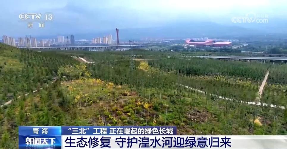 哈尔滨建设,绿色发展的先锋，打造生态宜居城市新典范 哈尔滨建设,绿色发展的先锋，打造生态宜居城市新典范 搜狗SEO