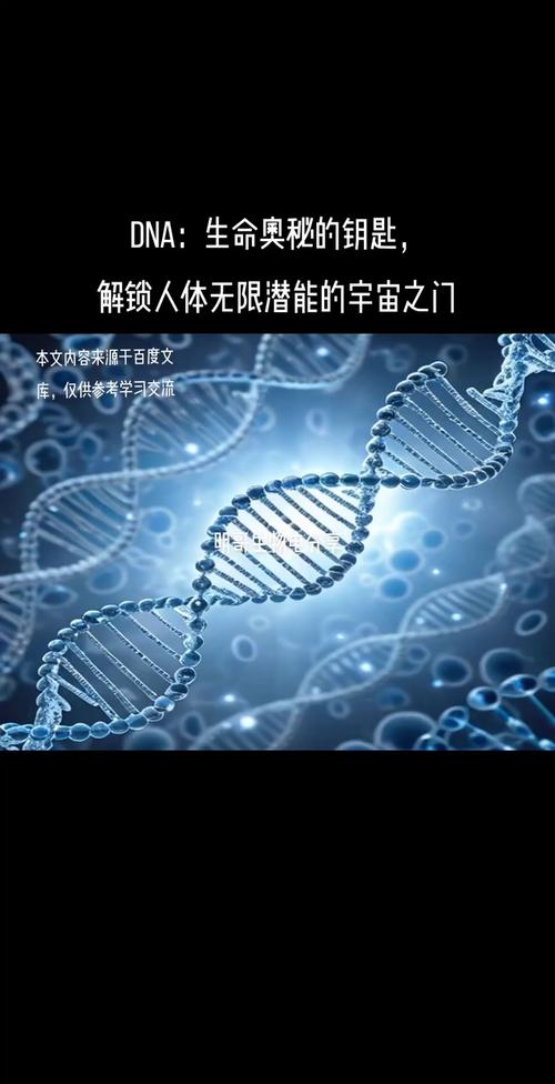 基因编程,揭开生命奥秘的钥匙 必应SEO 基因编程,揭开生命奥秘的钥匙 基因编程,揭开生命奥秘的钥匙 必应SEO