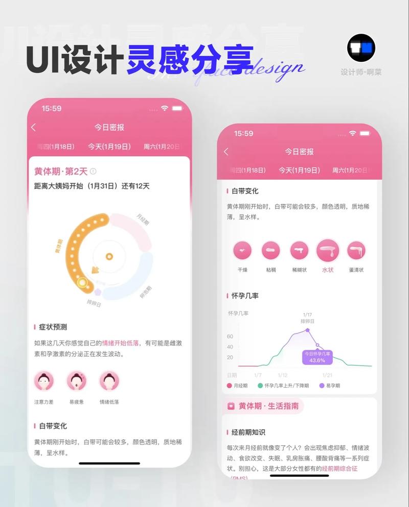 女性在网站设计领域的崛起与探索 女性在网站设计领域的崛起与探索 网站建设公司