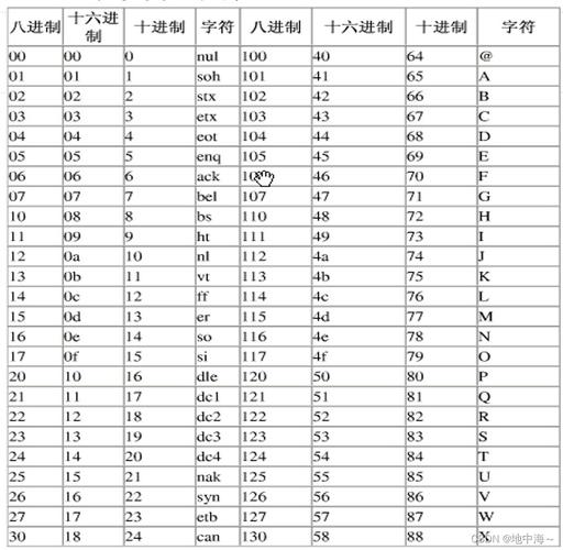 字符编码,信息时代的基石与未来 字符编码,信息时代的基石与未来 必应SEO
