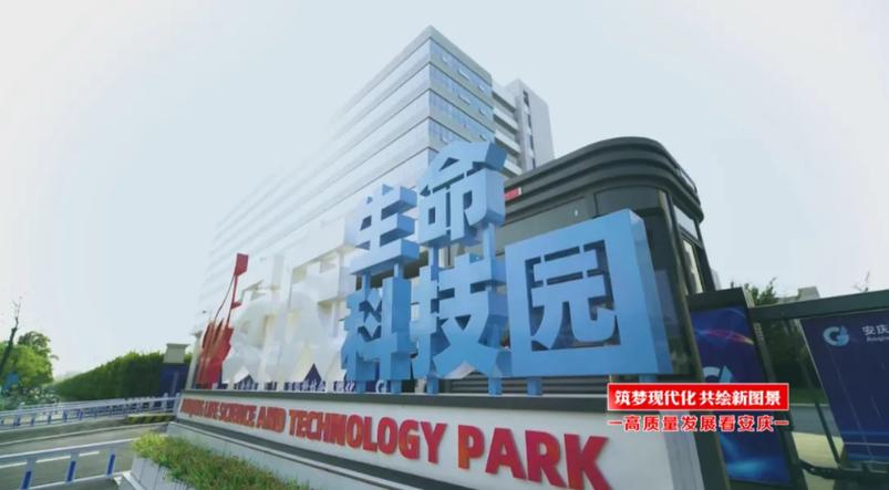 安庆网站,打造城市新名片,助力现代化进程 必应SEO 安庆网站,打造城市新名片,助力现代化进程 安庆网站,打造城市新名片,助力现代化进程 必应SEO