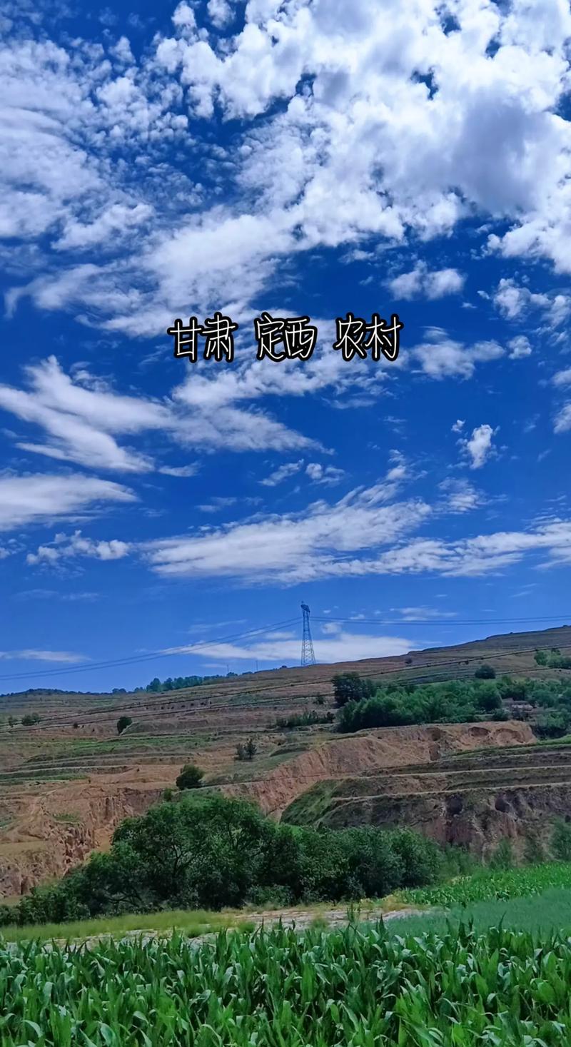 定西微网站,新时代乡村发展的新引擎 定西微网站,新时代乡村发展的新引擎 网站建设公司
