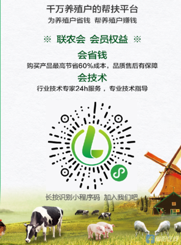 实惠猪网站搭建,打造一站式养殖服务平台,助力产业升级 搜狗SEO 实惠猪网站搭建,打造一站式养殖服务平台,助力产业升级 实惠猪网站搭建,打造一站式养殖服务平台,助力产业升级 搜狗SEO