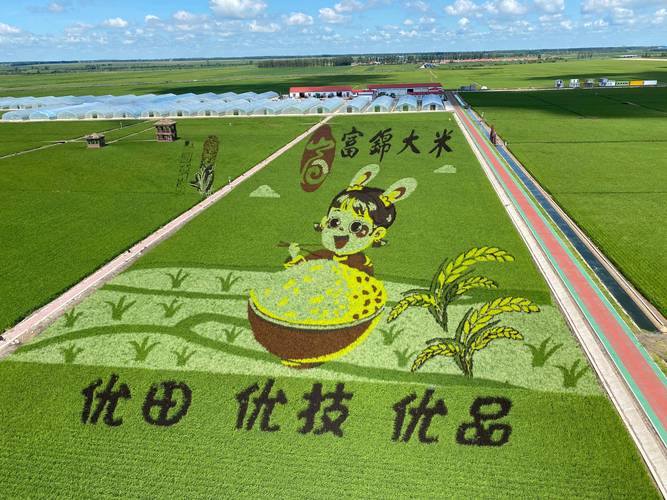富锦市,绿色农业示范区的璀璨明珠 搜狗SEO 富锦市,绿色农业示范区的璀璨明珠 富锦市,绿色农业示范区的璀璨明珠 搜狗SEO