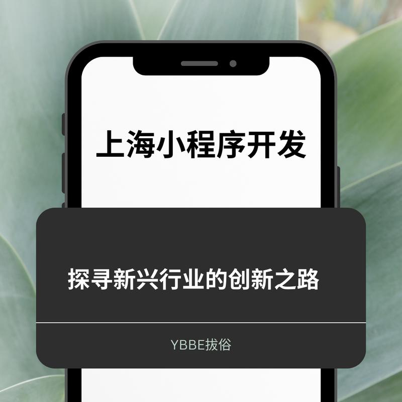 小程序时代，代码的力量与创新之路 小程序时代，代码的力量与创新之路 网站建设公司