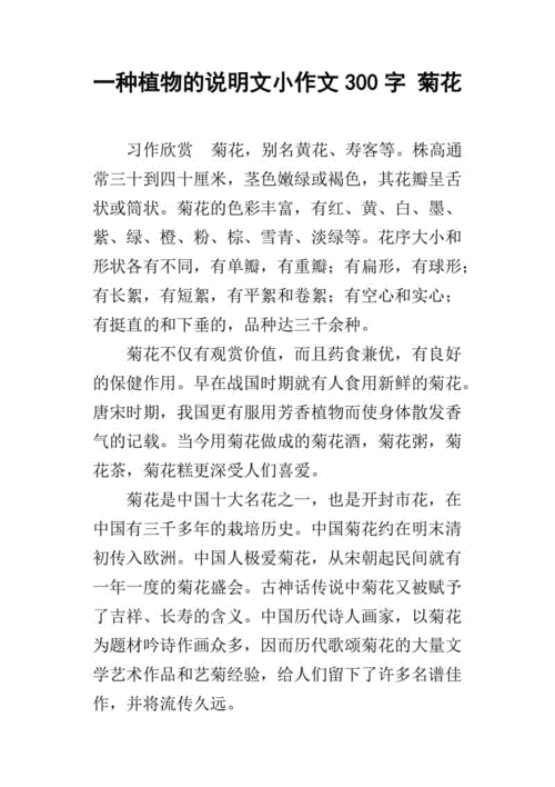 小菊花网站,绿色生活方式的新标杆 小菊花网站,绿色生活方式的新标杆 网站建设公司