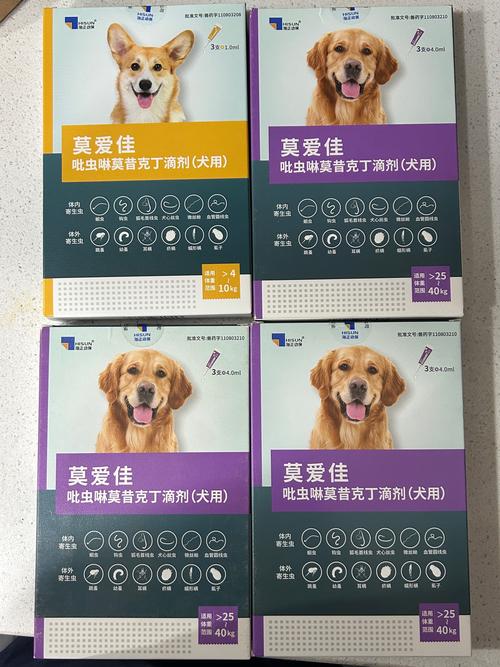 小黄狗_智能宠物健康守护者的新篇章 小黄狗_智能宠物健康守护者的新篇章 网站建设公司