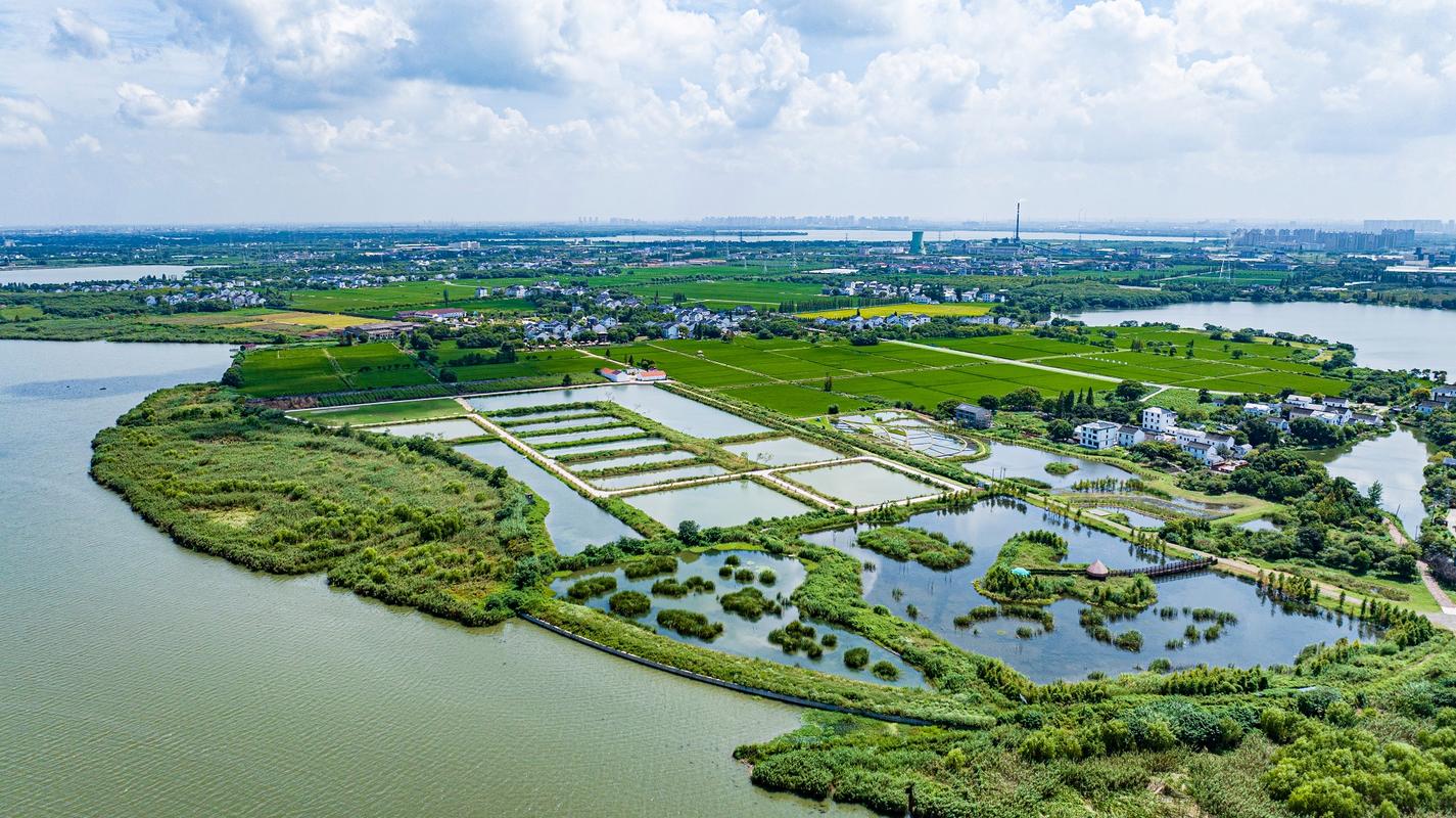 巢湖市,生态宜居的江南水乡,绿色发展新典范 必应SEO 巢湖市,生态宜居的江南水乡,绿色发展新典范 巢湖市,生态宜居的江南水乡,绿色发展新典范 必应SEO
