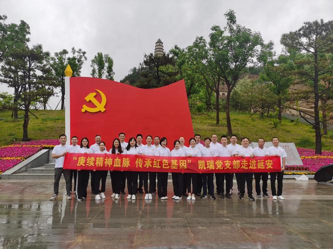 延安网站设计图,传承红色基因,展现革命圣地新风貌 神马SEO 延安网站设计图,传承红色基因,展现革命圣地新风貌 延安网站设计图,传承红色基因,展现革命圣地新风貌 神马SEO