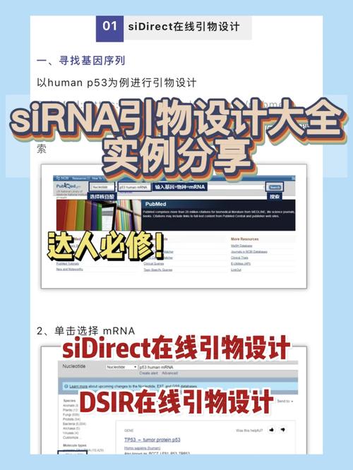 引物设计网站助力科研,高效、精准的分子生物学工具 引物设计网站助力科研,高效、精准的分子生物学工具 神马SEO