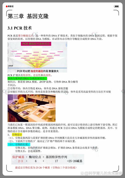 引物设计网站i,助力科研人员高效探索基因奥秘 必应SEO 引物设计网站i,助力科研人员高效探索基因奥秘 引物设计网站i,助力科研人员高效探索基因奥秘 必应SEO