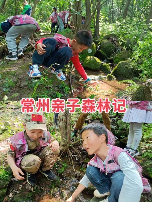彩宝贝网站,创新育儿平台,引领亲子互动新潮流 百度SEO 彩宝贝网站,创新育儿平台,引领亲子互动新潮流 彩宝贝网站,创新育儿平台,引领亲子互动新潮流 百度SEO