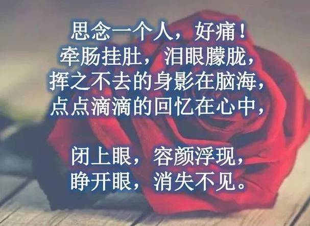 心之所系,想念之痛,对一个人的深深思念 必应SEO 心之所系,想念之痛,对一个人的深深思念 心之所系,想念之痛,对一个人的深深思念 必应SEO