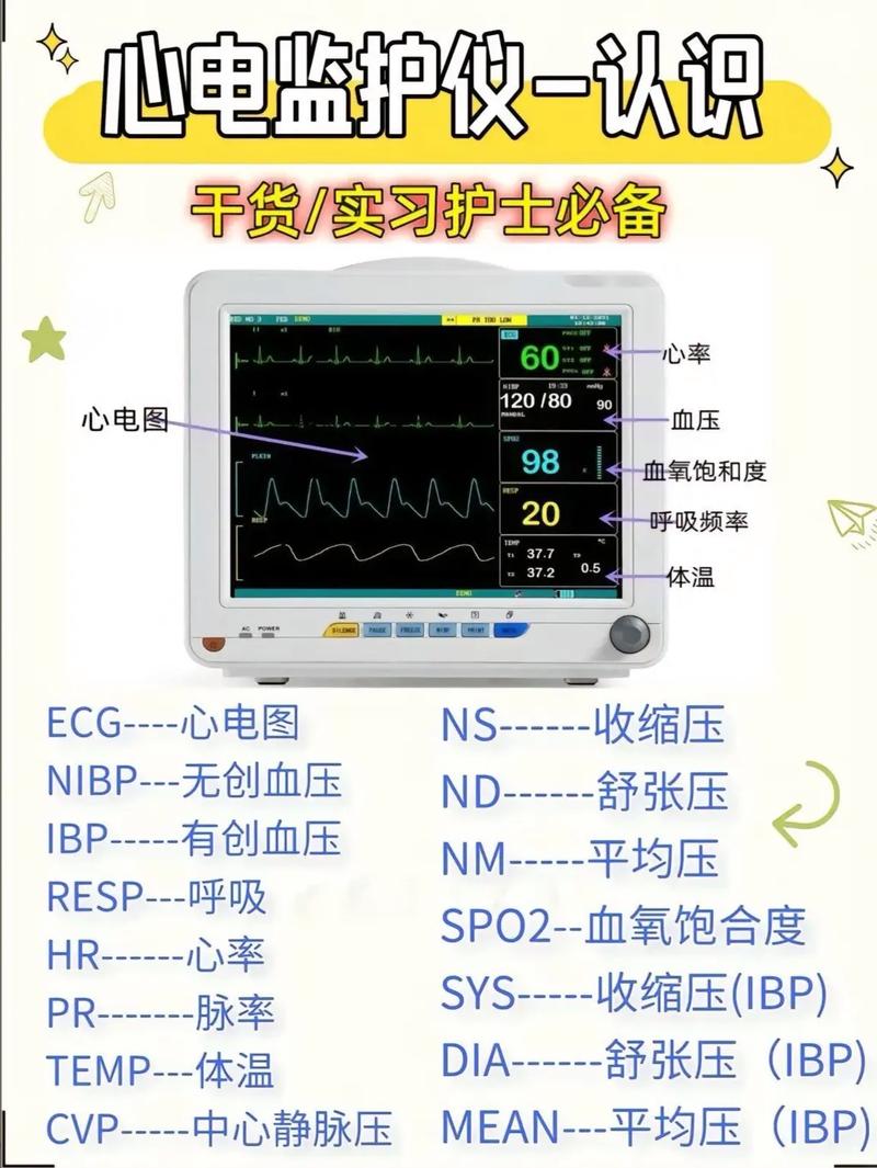 心电图程序,医学诊断的利器,守护生命健康的守护者 网站建设公司 心电图程序,医学诊断的利器,守护生命健康的守护者 心电图程序,医学诊断的利器,守护生命健康的守护者 网站建设公司
