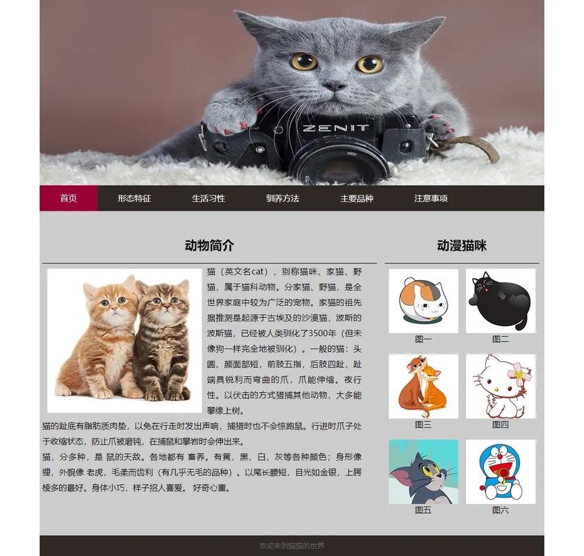 快乐猫设计网站,打造个性化创意空间，让设计灵感无限绽放 快乐猫设计网站,打造个性化创意空间，让设计灵感无限绽放 搜狗SEO
