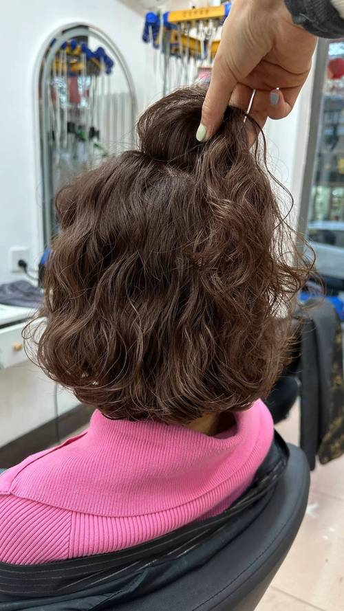 打造个性风采，发型屋网站引领潮流美发体验 打造个性风采，发型屋网站引领潮流美发体验 百度SEO